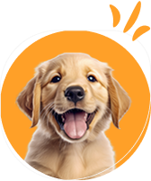 dogs