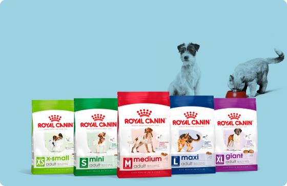 pet-suppliments